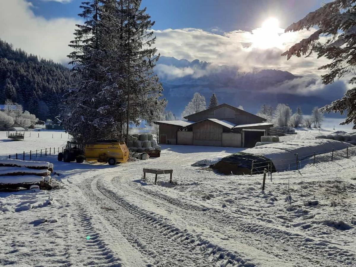 Urlaub Am Bauernhof Bei Familie Steinbrecher Bad Mitterndorf Esterno foto